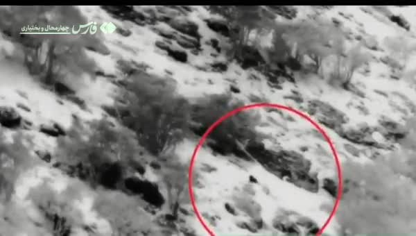   ثبت حضور پلنگ ایرانی در سبزکوه؛ سه قلاده در قاب دوربین‌های تله‌ای