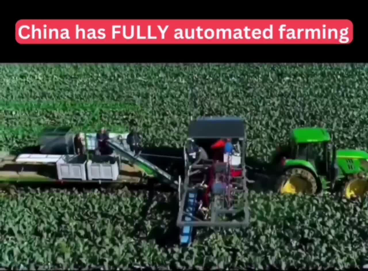   روند رباتیکی کردن با هوش مصنوعی در کشاورزی چین