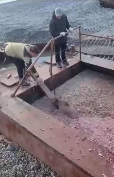   یک توله خرس در کامچاتکا روسیه هنگام ماهیگیری با حادثه ناگواری روبرو شد!