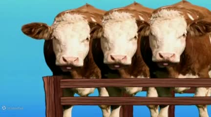 باب اسفنجی آپارات، انیمیشن باب اسفنجی، باب اسفنجی دوبله فارسی، باب اسفنجی