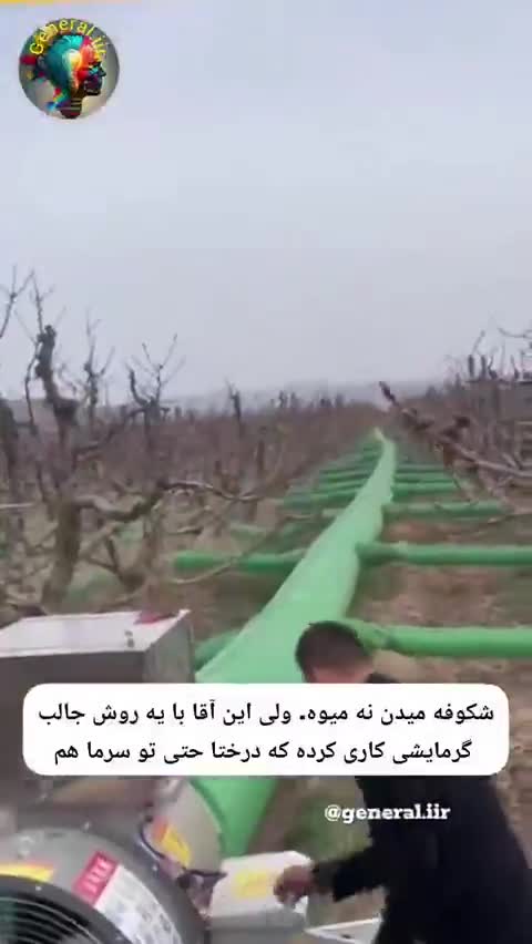   کشاورز چینی که با خلاقیتش در زمستان هم گیلاس تولید می‌کند!