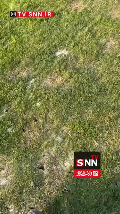   وضعیت نامناسب چمن تختی در آستانه دیدار چادرملو و پرسپولیس