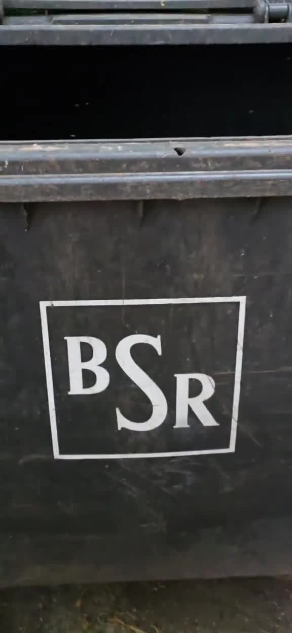   پاکبانی که ناجی راکون‌های ولگرد شد