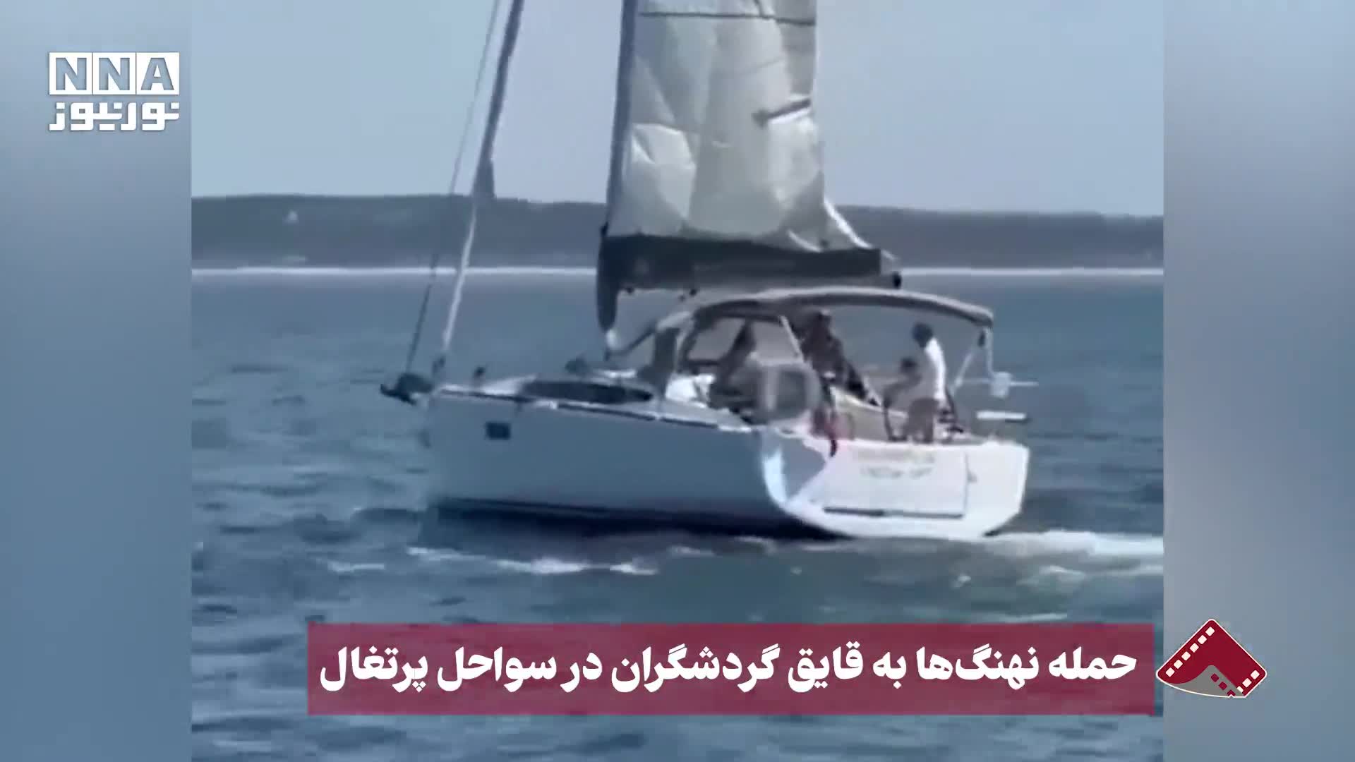    حمله نهنگ‌ها به قایق گردشگران در سواحل پرتغال