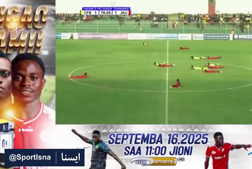   هجوم عظیم زنبورها به مسابقه فوتبال در تانزانیا