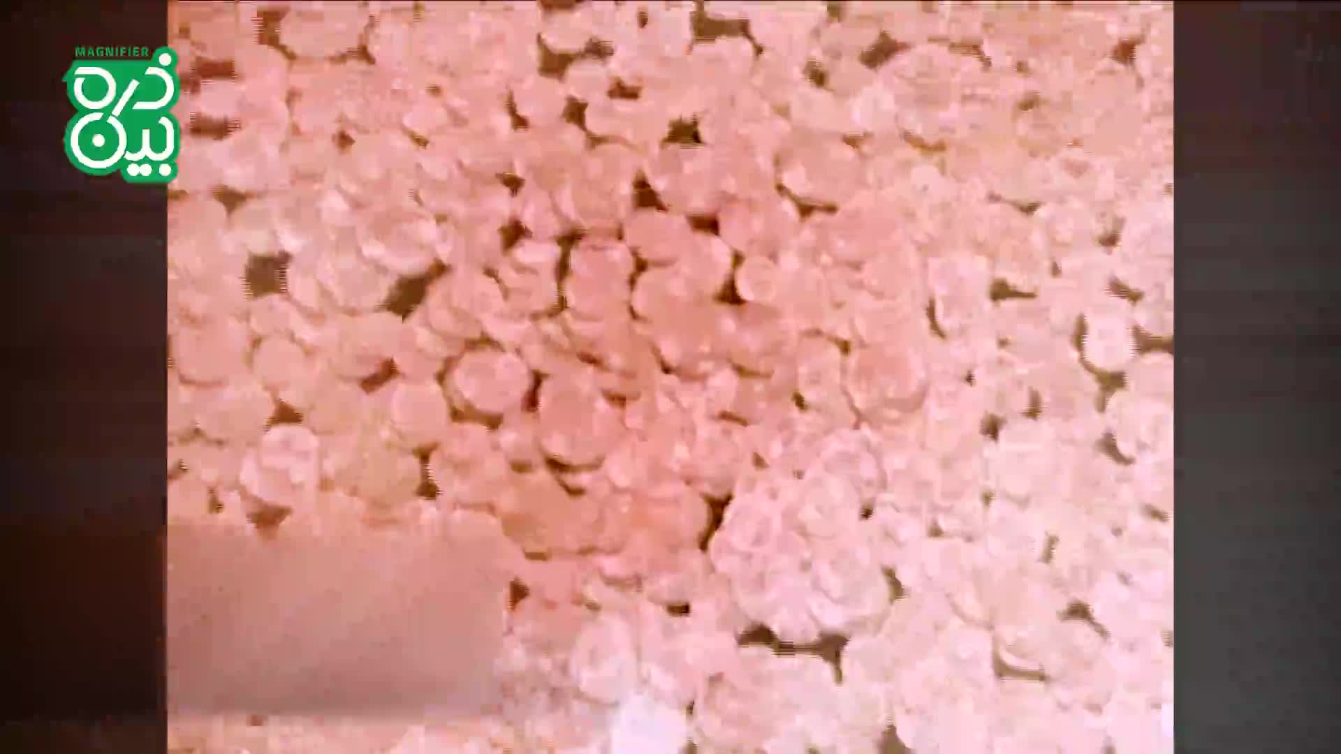   ماجرای استاد ایرانی که اقتصاد کره جنوبی را ساخت