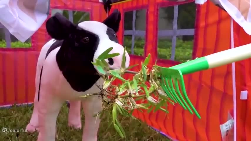 ناستیا و استیسی: ماجراجویی‌های خنده‌دار در دنیای کودکانه!