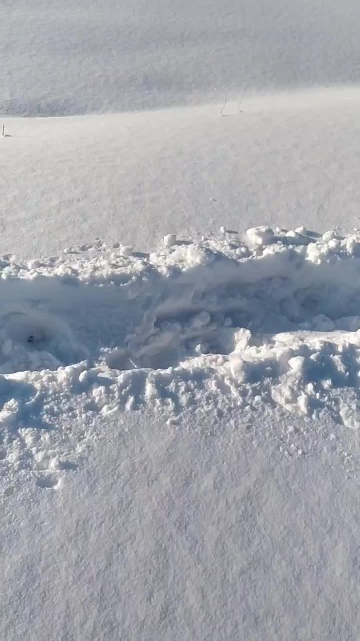   حجم سنگین برف در میانه