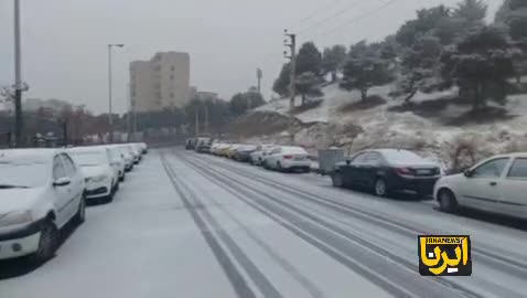    بارش برف  شمال پایتخت را سفید پوش کرد