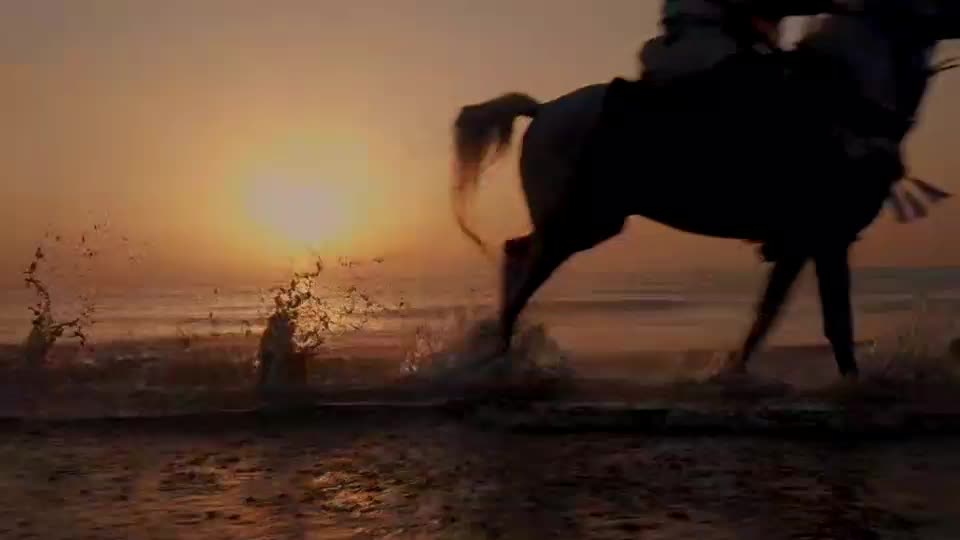   جز این نیست که همه مومنین با هم برادرند؛ میان برادرتان صلح و آشتی برقرار کنید