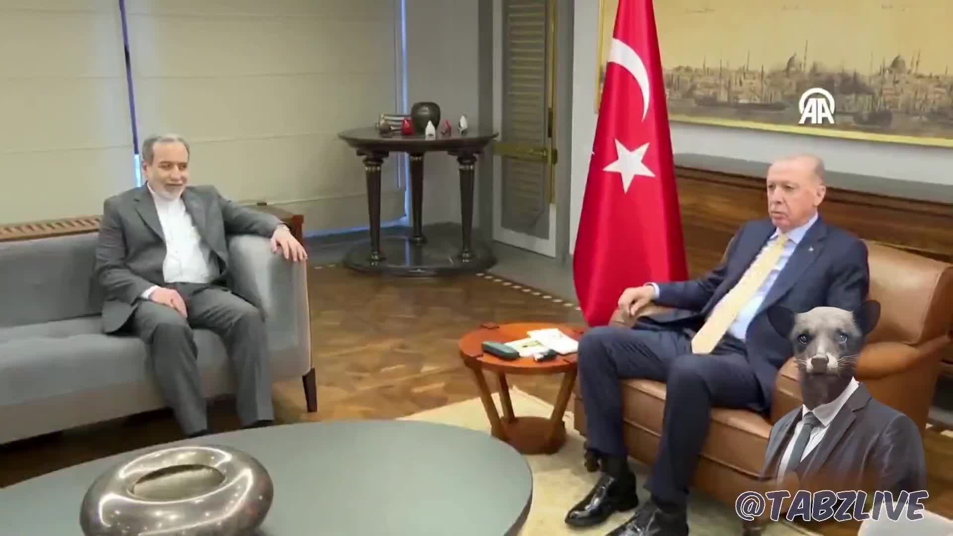   اولین تصاویر از دیدار عراقچی با اردوغان در ترکیه