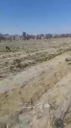   نمایی از خسارت سیل اخیر به کشاورزان هرمزگانی