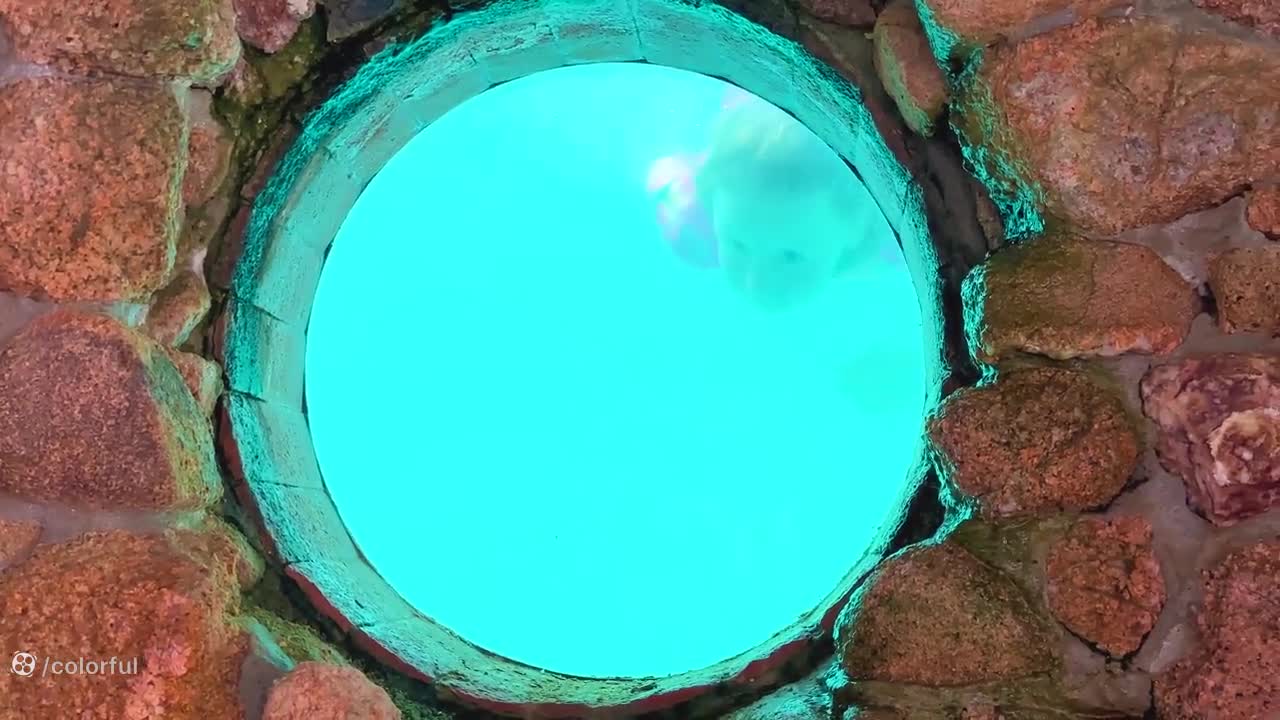 ماجراجویی‌های ناستیا و استیسی در پارک تفریحی!