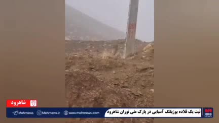   ثبت یک قلاده یوزپلنگ آسیایی در پارک ملی توران شاهرود