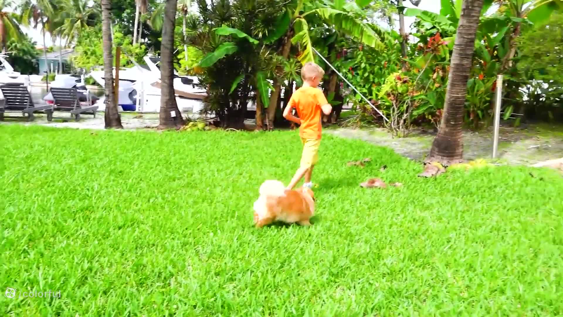 ماجراجویی‌های بامزه ولاد و نیکی: برنامه کودک جدید و سرگرم‌کننده!