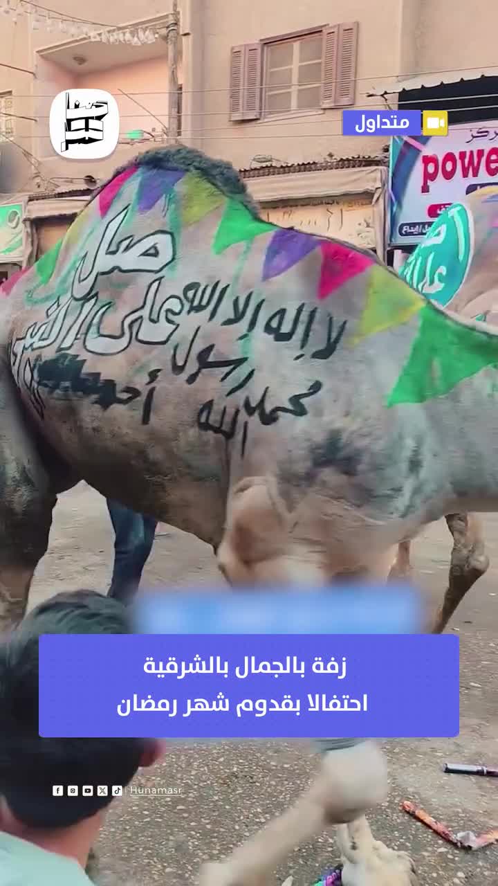 جشن استقبال از ماه رمضان با تزیین شتر‌ها در مصر