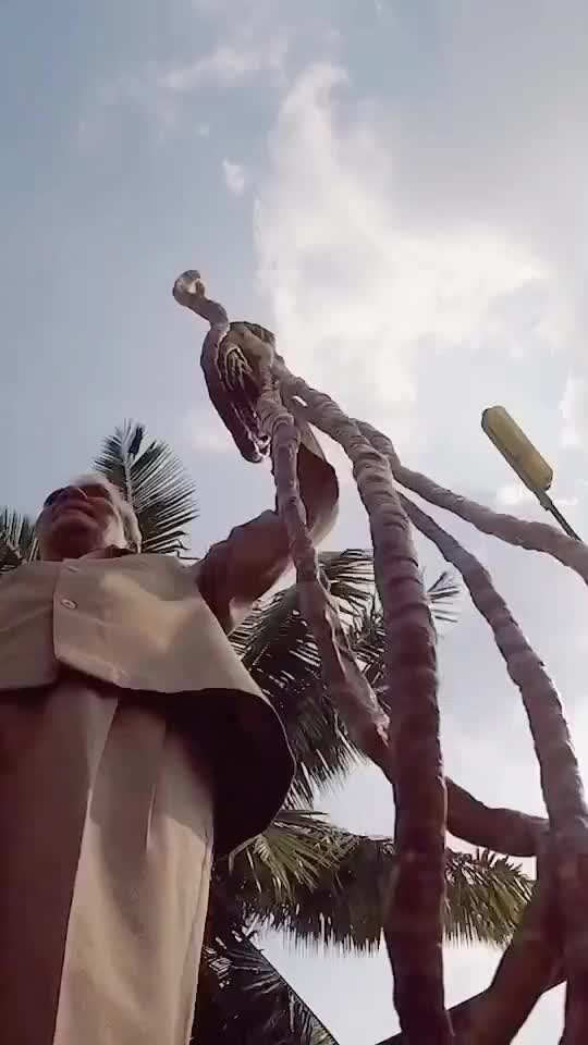   صاحب رکورد طولانی‌ترین ناخن‌های یک دست در جهان