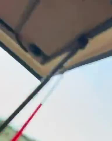   حمله ترسناک یک فیل با سرعت به خودروی سافاری حامل گردشگران بریتانیایی در تانزانیا