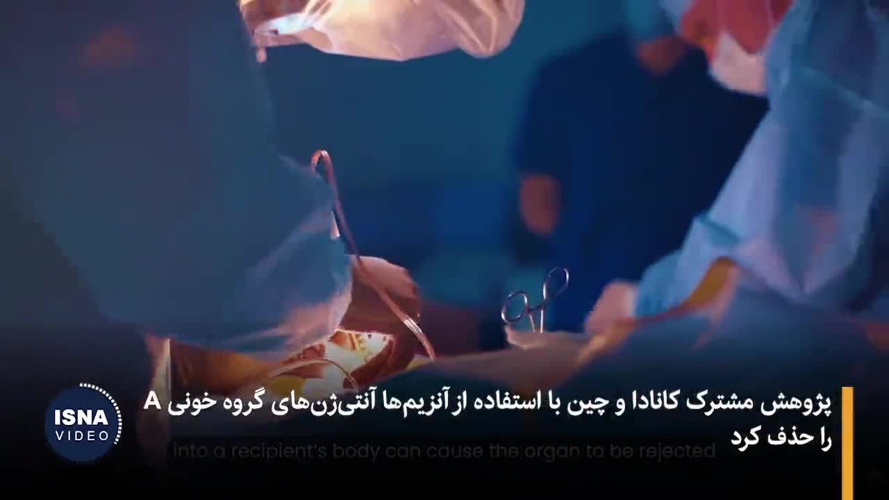    پایان انتظارهای مرگبار؟ پیشرفت بزرگ در پیوند کلیه