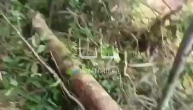 سقوط یک هواپیما در کلمبیا با ۱۱۰ نفر سرنشین