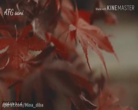 نه تو می مانی- سهراب سپهری