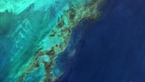 آشنایی مقدماتی با گوشی گوگل پیکسل