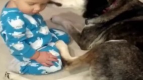 بازی سگ و بچه خواب آلود ناز