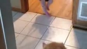 بازی کردن سگ با نوزاد و بالاپایین پریدن جفتشون