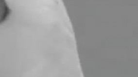 واکنش مردم به نتیجه انتخابات امریکا