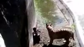 خورده شدن انسان