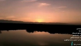 ویدیو پیاده ها, رضا صادقی 