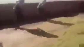 کشته شدن  دو داعشی بدست سربازان  سوری