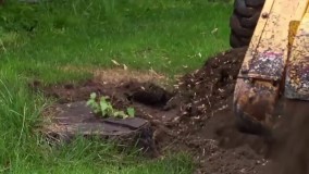 ماشین جدید قطع درختان