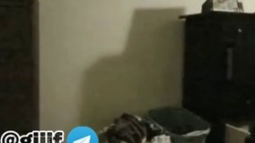 تصوری که لات های سر کوچه از خودشون دارن