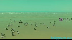 موزیک ویدیو جدید احمد سعیدی به نام چند وقته