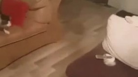 گربه شیطون و نینی