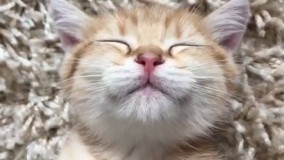 وقتی مامانت میاد بالا سرت بیدارت کنه