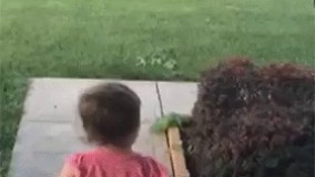 به سلامتی پدر دوستا