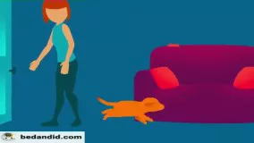 تا به حال فکر کرده اید درون ذهن حیوانات چه می گذرد؟برای رسیدن به پاسخ این سوال این ویدیو را ببینید.