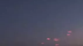 داعش دوباره پالمیرا را تصرف کرد