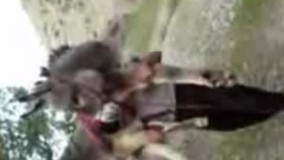 جدیدترین بازب را لرها بنام خودشون ثبت کردند