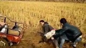 خواستید کمک کنید حواستون باشه اینجوری ضایع نشید