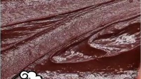 آموزش تیرامیسو ساده و خوشمزه