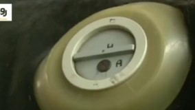 تکنیک جدید دامداران خشم کاربران شبکه‌های اجتماعی را برانگیخت! آنچه در این ویدئو به تصویر کشیده شده باورکردنی نیست: