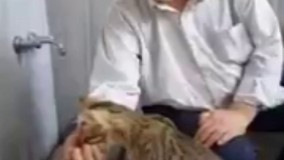 پیرمردی که نه تنها از ورود گربه به مسجد برآشفته نمیشه، بلکه سیرابش هم میکنه