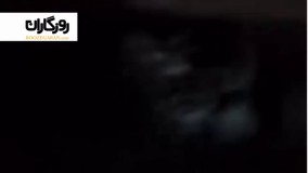 بعد از دیدن این ویدئو باور میکنید که در این دنیا تنها نیستید!
