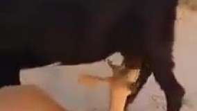 بیگانه اگر وفا کند خویش من است، گرگى که به من شیر دهد میش من است...  شیر دادن بز به بچه آهو