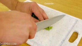 تخم مرغ برگر