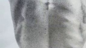 نقاشی بی نظیر با 70 ساعت نقطه گذاری   