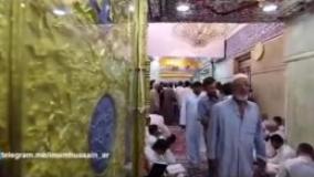 تصاویر حرم امام حسین همراه با صدای حاج محمود کریمی